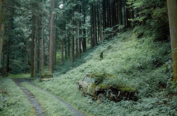 Two cars abandoned in the woods of japan Kind of eerie