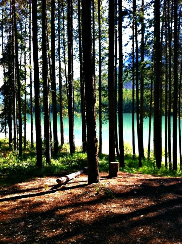 Two Jack Lake campground in Banff Alberta Canada 