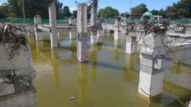 Two plastic ducks bob calmly among the quake-ravaged waterlogged foundations  Christchurch NZ 