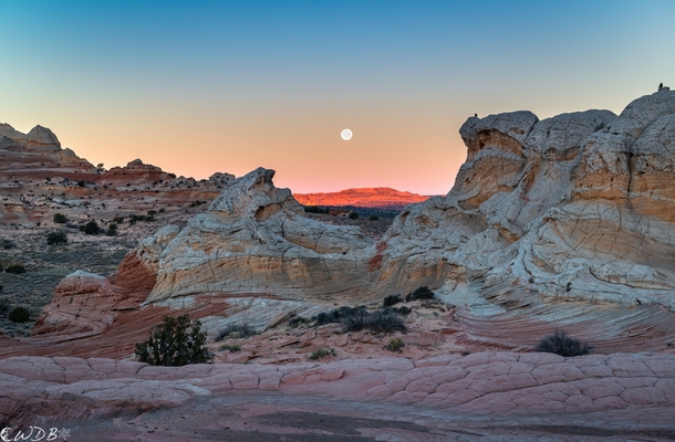 Two Raven Moon Vermilion Cliffs National Monument Arizona by Bill Bowman 