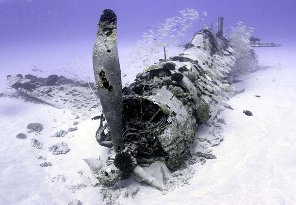 Underwater Corsair Plane Wreck from WW Photo by Justin Branam 