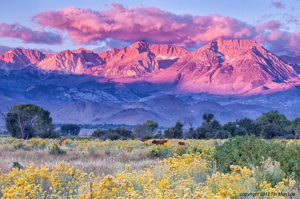United States of America Eastern Sierra Sunrise    Photographed by Tin Man Lee 