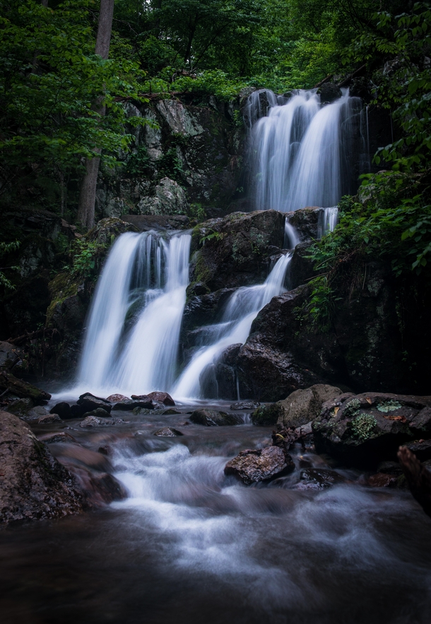 Upper Doyles Falls - Shenandoah National Park Virginia 