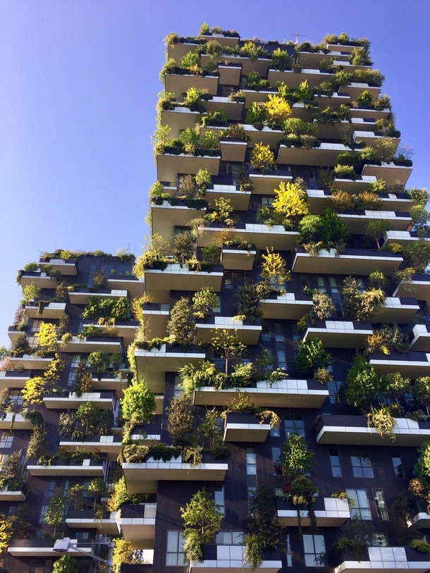 Vertical Forest in Milan designed by italian architect Stefano Boeri Winner of the International Highrise Award  