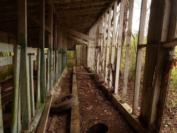 Very little remains today of the largest dairy farm in the southeast Owned and operated by a man named John Carson received many awards for its innovative irrigation techniques Following his death in  the farm became defunct and was abandoned Vonore Tenne