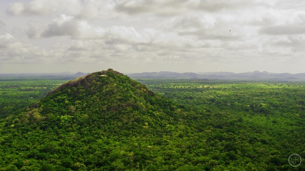 View from the top of Sigiriya Sri Lanka x 