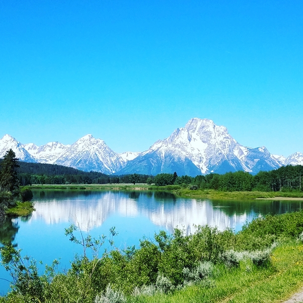 View of Grand Tetons leaving Yellowstone National Park  x
