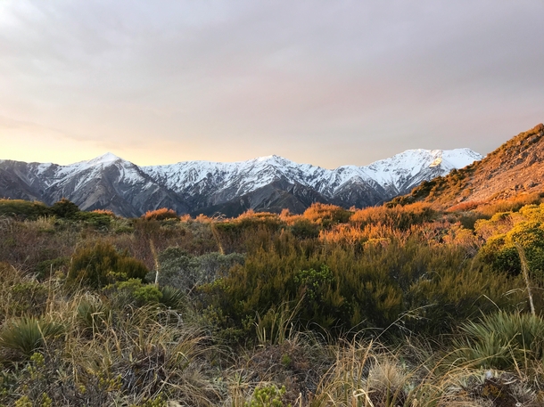 View of Kaikoura Ranges from Mount Fyffe during sunset New Zealand 