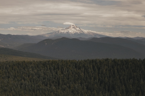 View of Mt Jefferson from Sherrard Point Hike Oregon 