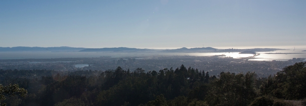 View of the San Francisco bay from the hills above Oakland 