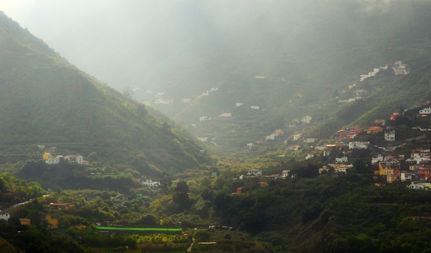Village in a lush misty valley Gran Canaria Spain 