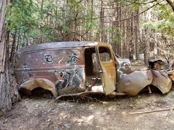 Vintage car with great graffiti left to rot in the middle of the woods