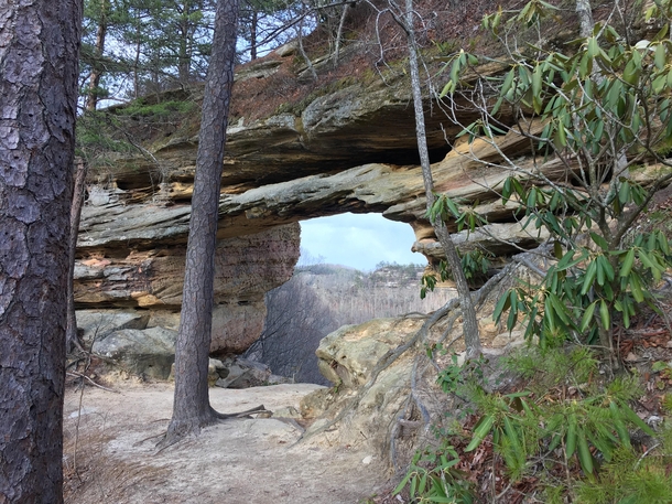Visited Red River Gorge in Kentucky this past weekend The area has over  natural arches 