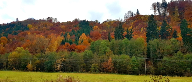 Vivid autumn colors in Hanuovice Czech Republic 