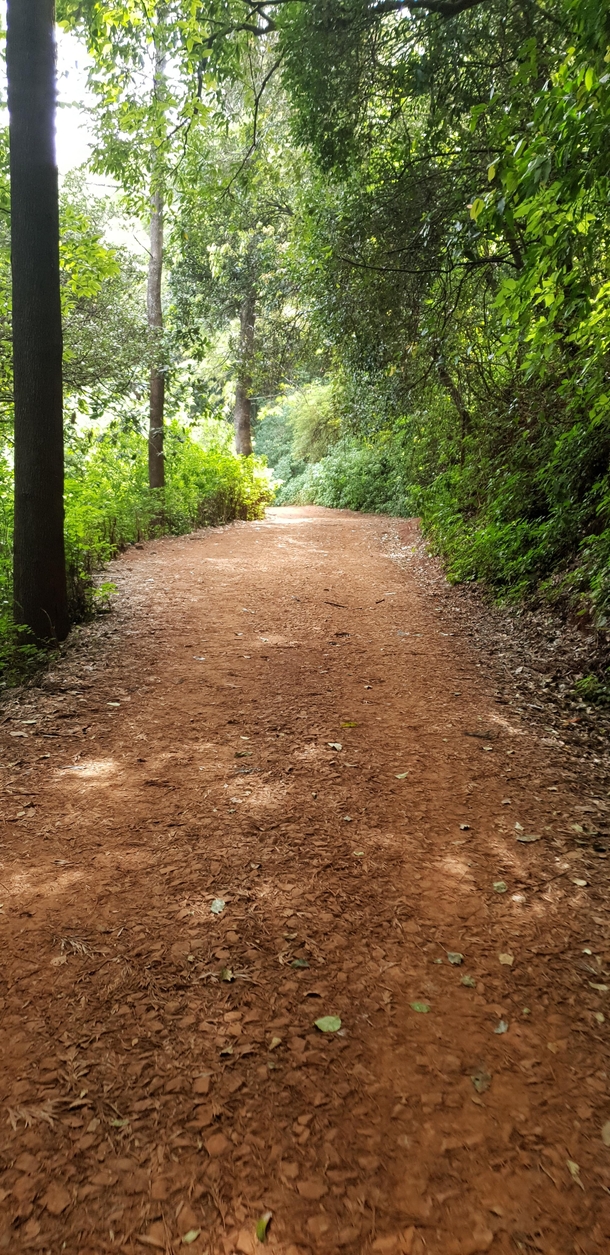 Walk towards the nature karnataka india 