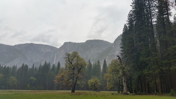 Walking among giants in the Yosemite valley 