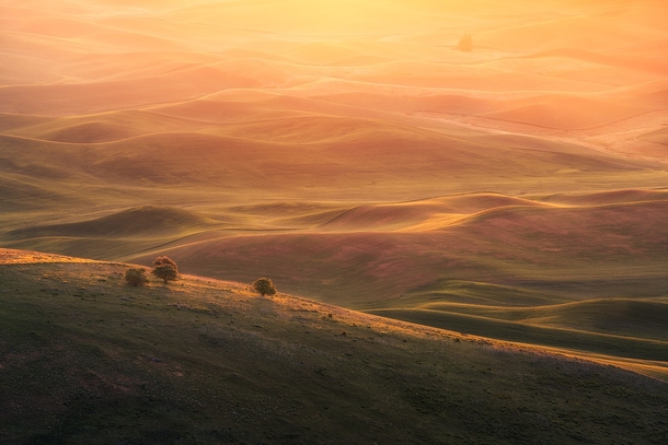 Washington USA This was such a great AM sunrise in the Palouse writes photographer Jesse Summers 