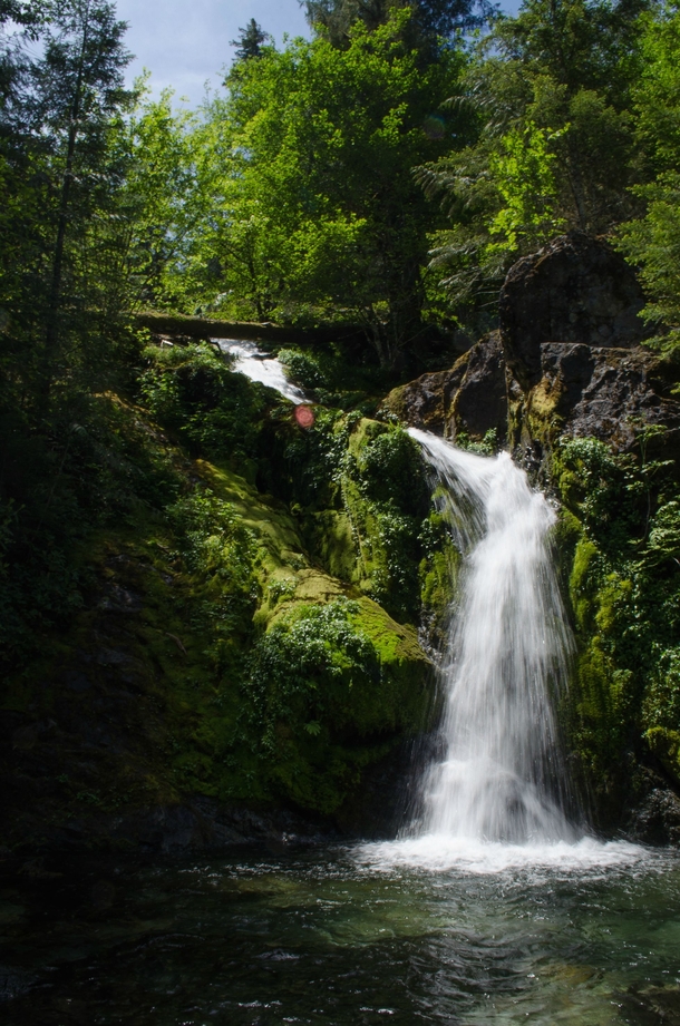 Waterfall - Northfork OR 
