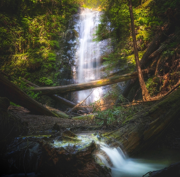Waterfalls in Redwoods 