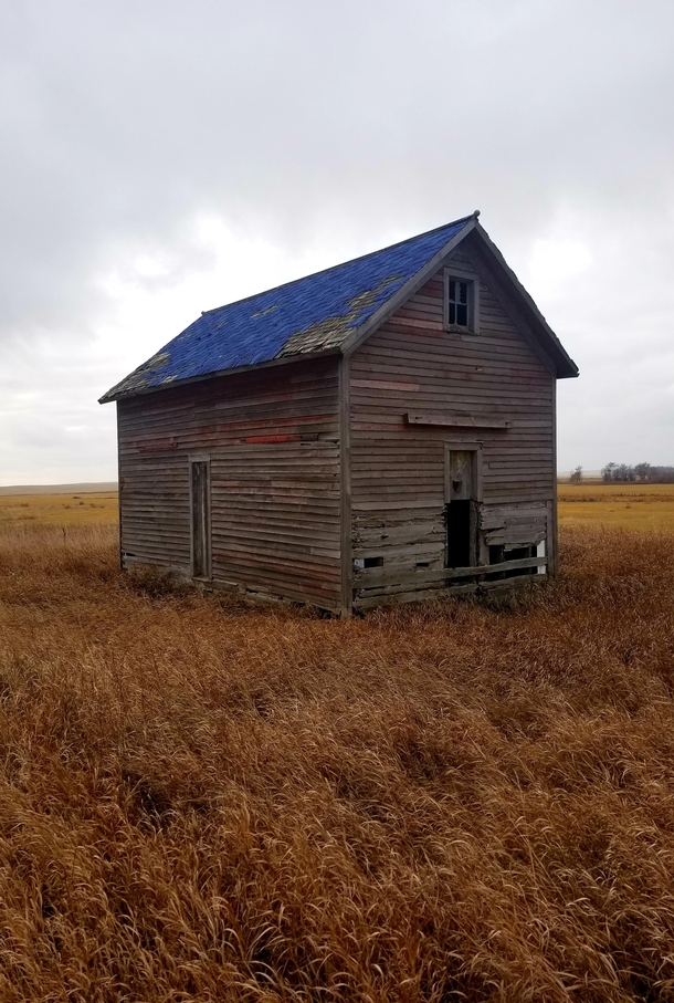Weathered farm building I came across while hunting in North Dakota