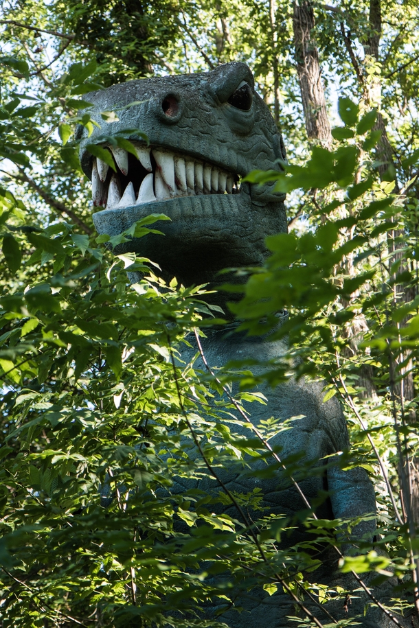Welcome to Jurassic Park an abandoned park in Michigan USA 