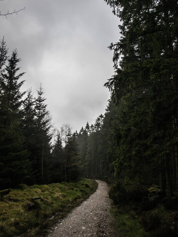Went hiking on a very misty day with friends Scolty Woods Scotland 