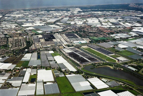 Westland The Netherlands a glass city the size of Manhattan filled with greenhouse horticulture and the largest flower auction house in the world 