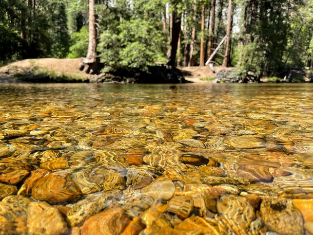 Wet Stones - Merced River in Yosemite California 