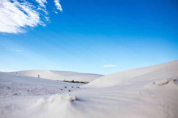 White Sands New Mexico just after sunrise  OC