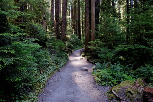 Why i absolutely love the pacific north west Sol Duc Hike Olympic National Forrest WA