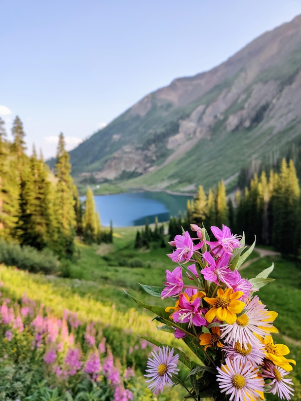 Wildflowers and Emerald lake near Crested Butte CO 
