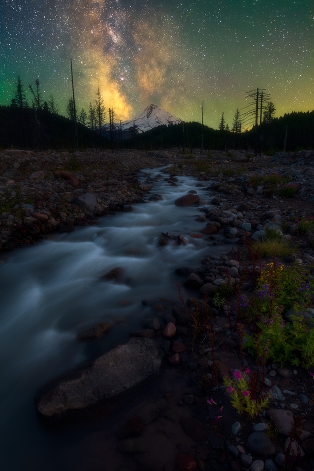 Wildflowers paired with the Milky Way over the Mt Hood Wilderness Oregon 
