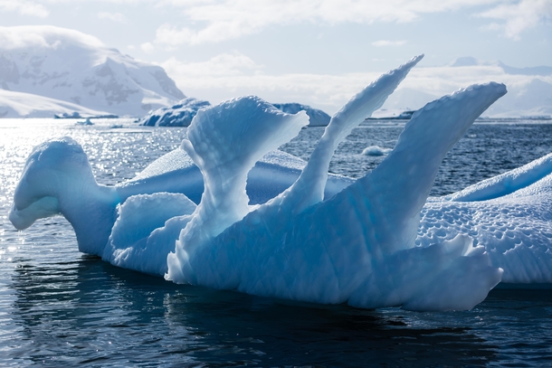 Wildly yet naturally sculptured ice creatures  Neko Harbor