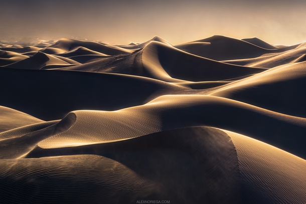 Wind and golden light on the sand dunes of Death Valley California by Alex Noriega 