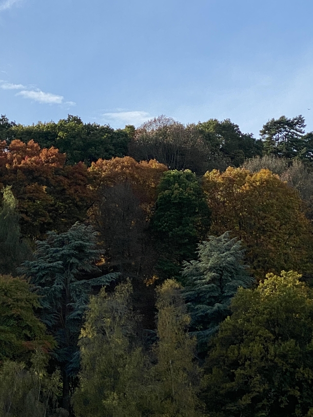 Winkworth arboretum Surrey Autumnal colours 