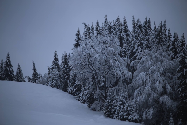 Winter in arcu Mountains Romania   Dan Stoica