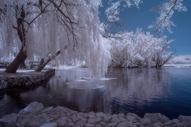 Winter Lake near Rome Italy 