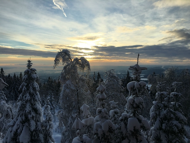 Winter on top of Oslo 