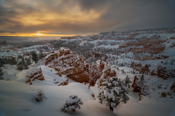 Winter Storm at Sunrise Bryce Canyon National Park Utah United States 
