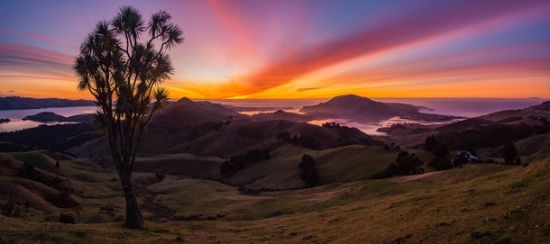 Winter Sunrise - Dunedin New Zealand 