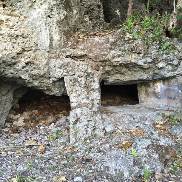 WWII Japanese bunker carved into the cliffs overlooking Apra Harbor Guam It was full of hermit crabs