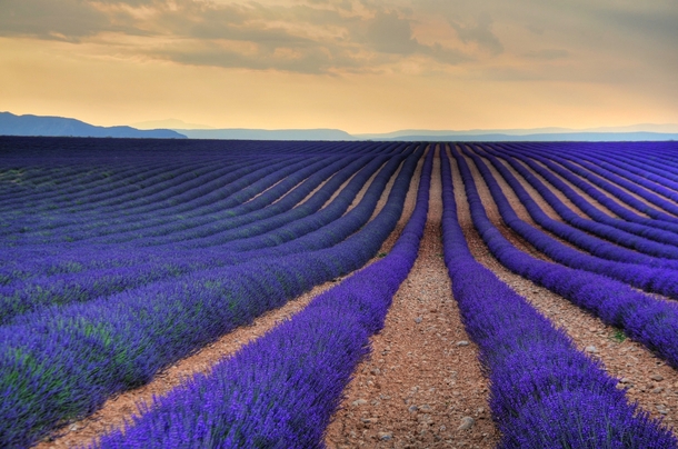 x-post from rFrancePics Lavender Fields Aix-en Provence France  by Keeboon Tan