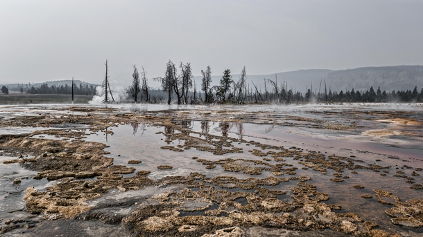 Yellowstone was looking particularly wasteland apocalyptical during the fires last summer 