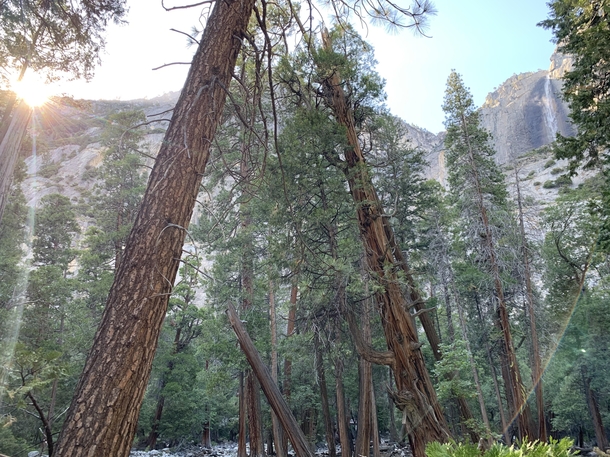 Yosemite Valley California OC  x 