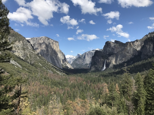 Yosemite Valley California USA  I took this on a recent trip and was totally in awe by the beauty