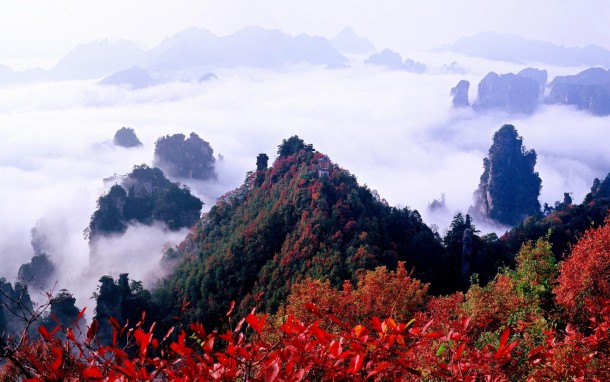 Zhangjiajie National Forest Park China 