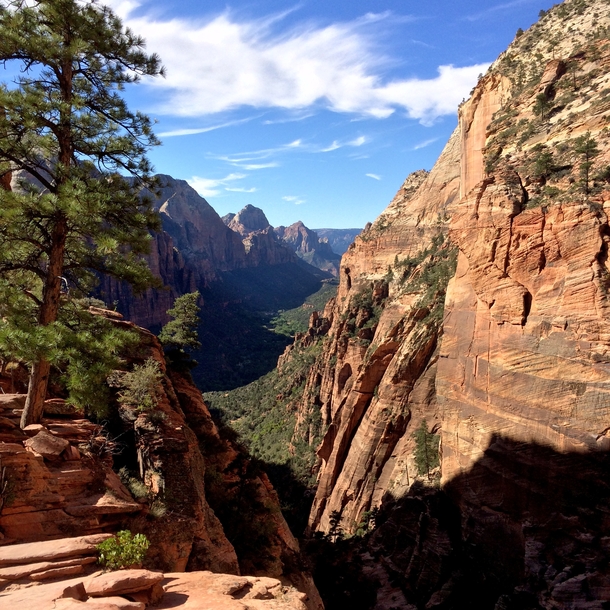 Zion Canyon from Angels Landing 