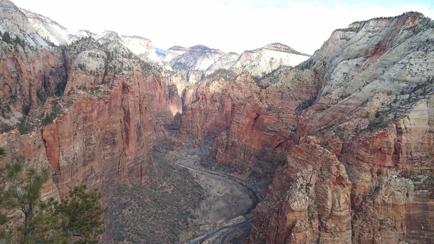 Zion NP from the top of Angels Landing earlier today OC  x 