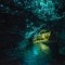 Glow Worm Cave in Waitamo New Zealand 