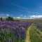 On the other side of the world at the end of the road New Zealand 